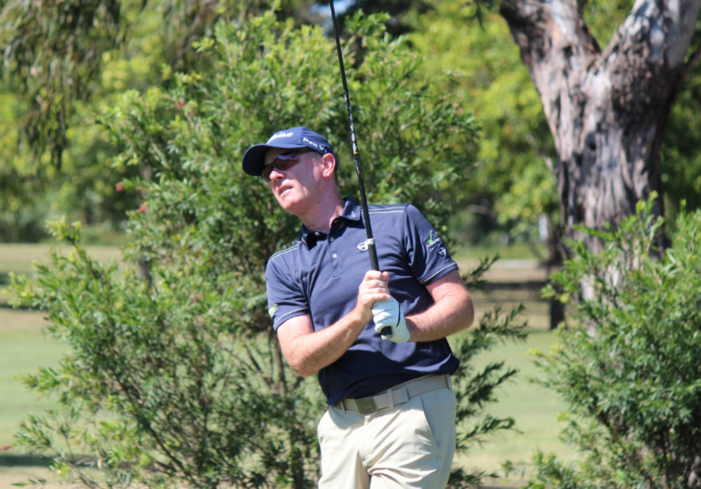 Joyner wins Meadowbrook supplementary